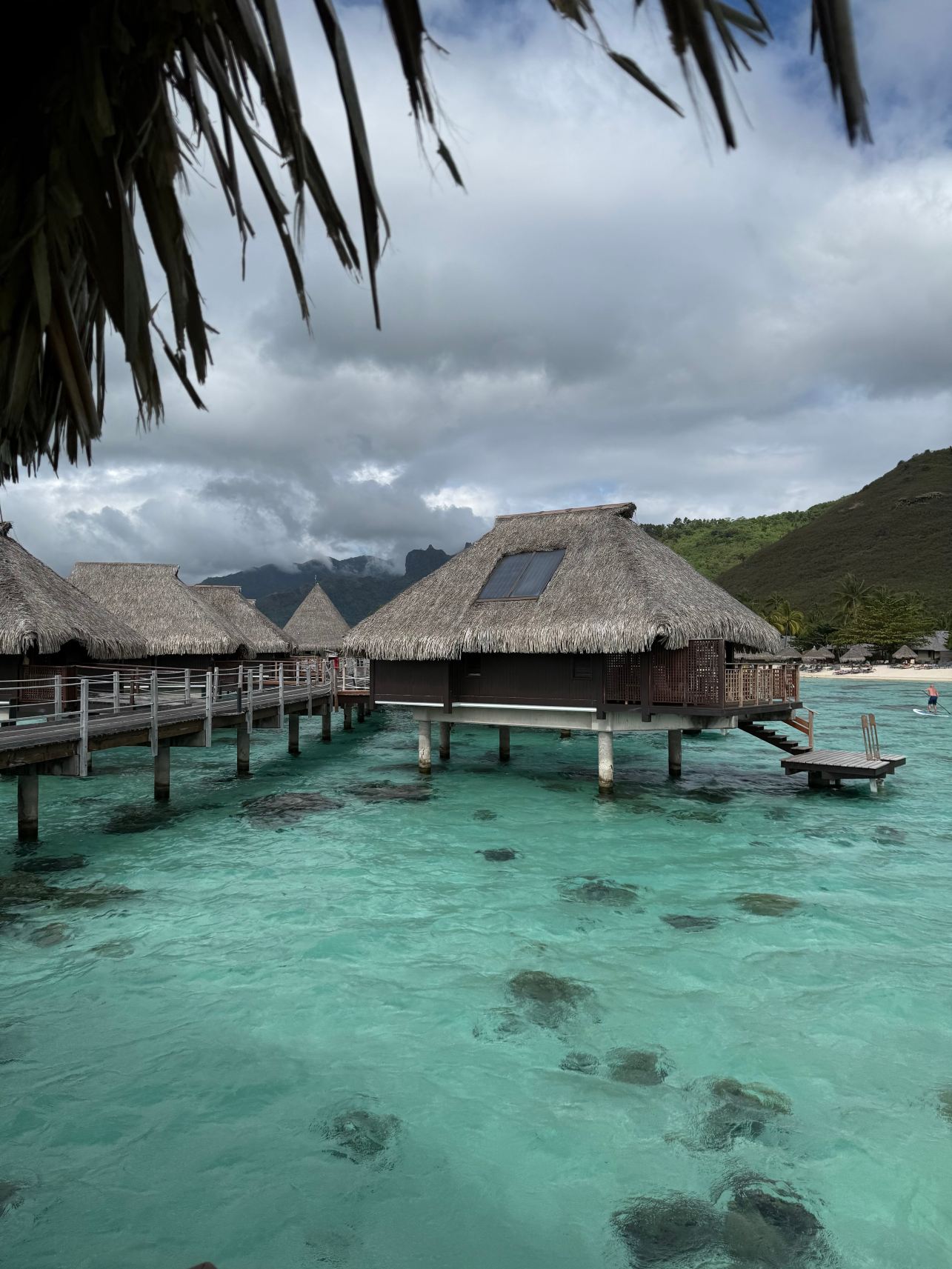 茉莉亚礁湖希尔顿度假酒店及水疗中心-旅行者