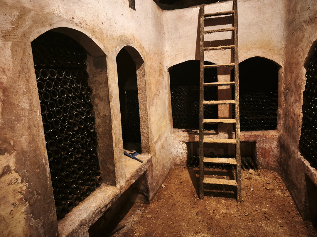 Bodegas Carlos San Pedro Perez de Vinaspre-拉瓜迪亚必去景点