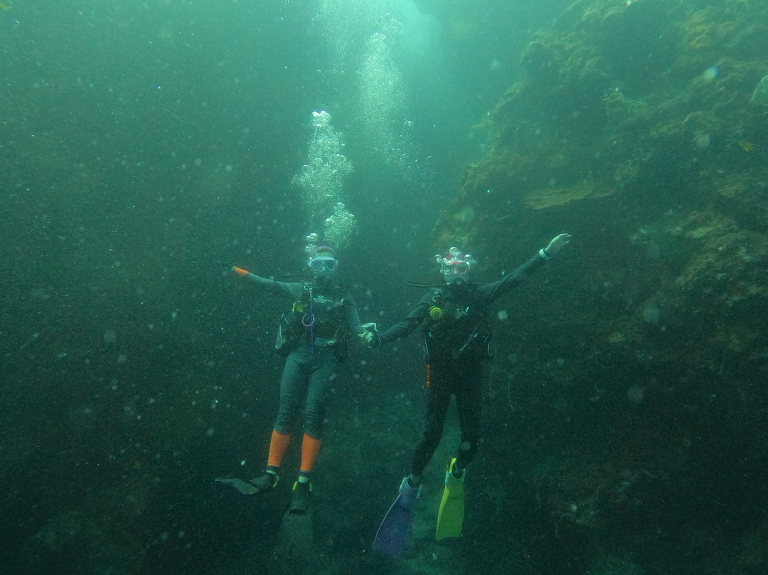 Haka Dive Center-Panglao必去景点