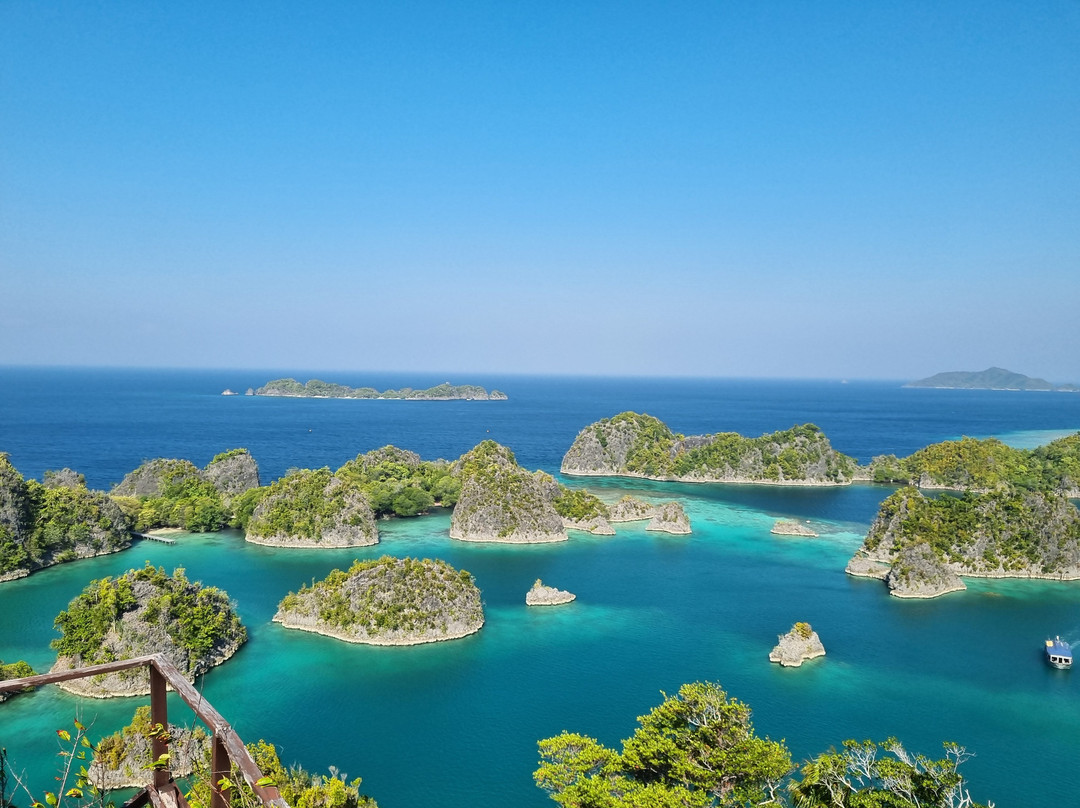 Coral Expeditions-凯恩斯必去景点