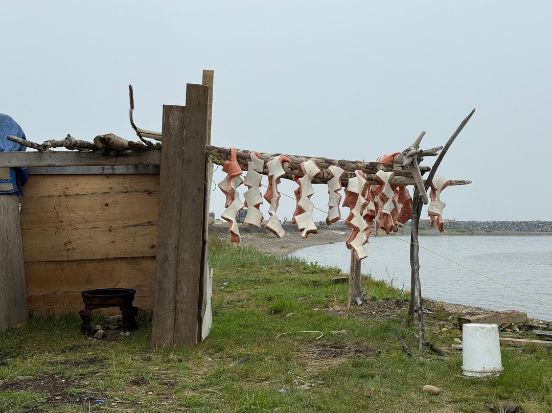 Tuktoyaktuk Visitor Information Centre-Tuktoyaktuk必去景点