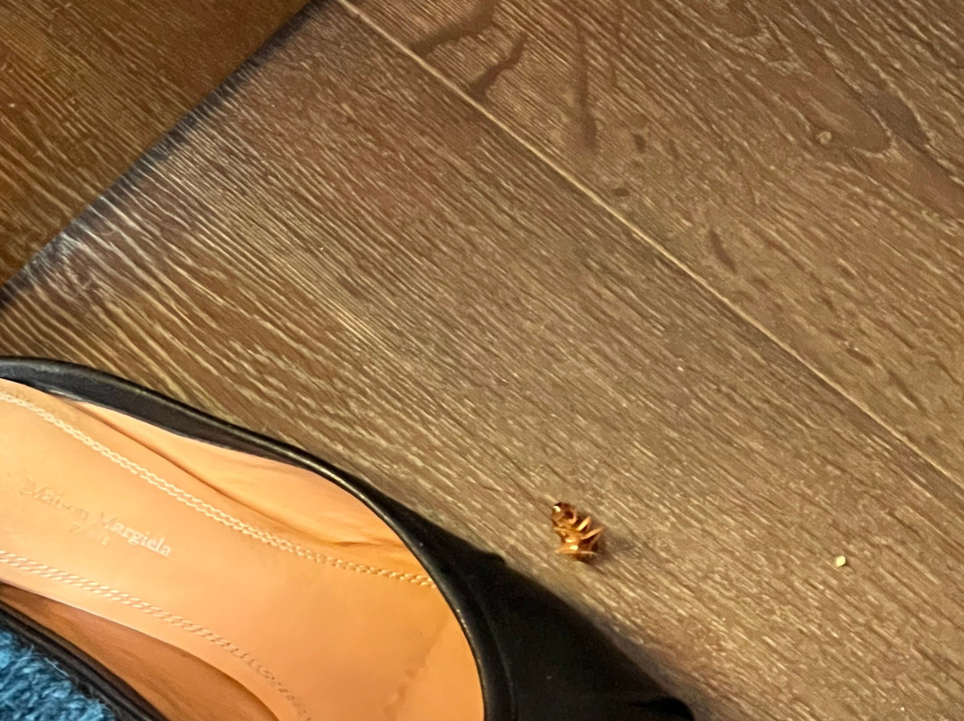 金沙温泉酒店主图