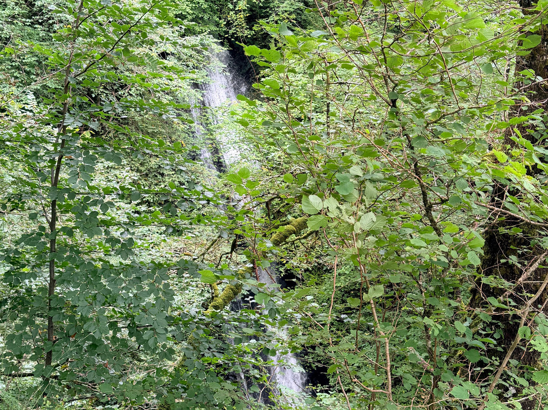 Fairy Bridge At Glen Creran-Appin必去景点