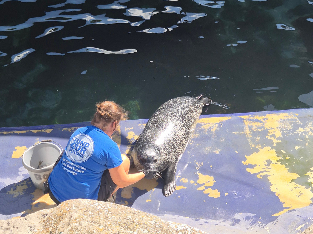 Cornish Seal Sanctuary-Gweek必去景点