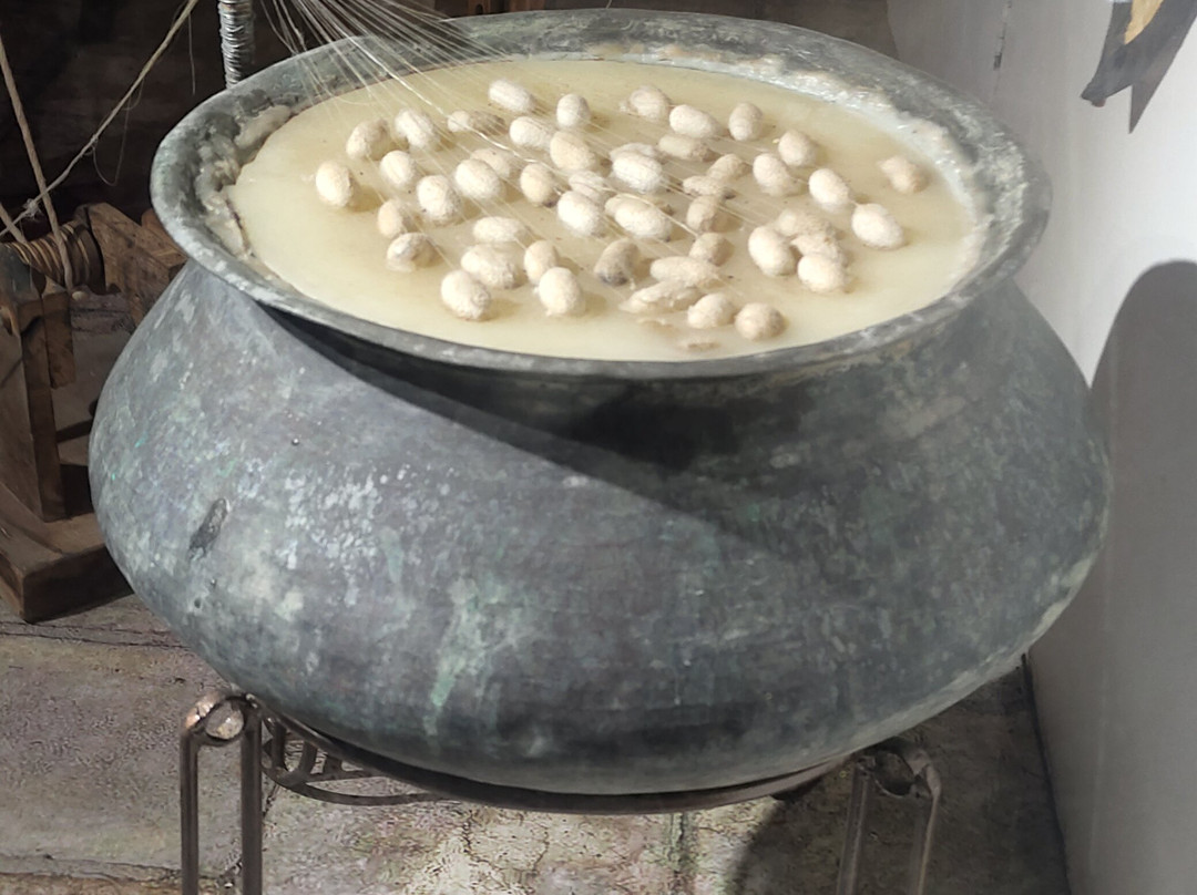 Khorezm Silk Museum-希瓦必去景点