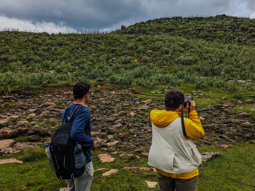 Bale Mountains Trekking Tours Ethiopia-Bale Robe必去景点