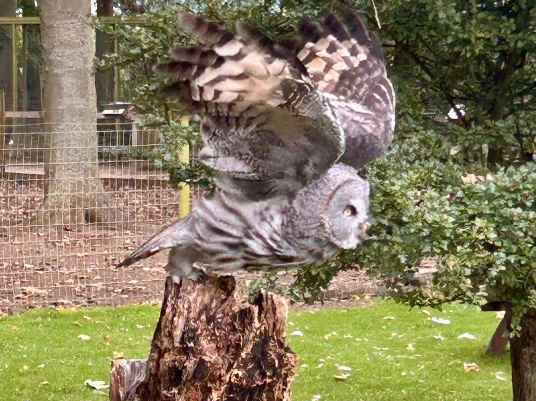 Bridlington Animal Park-布里德灵顿必去景点