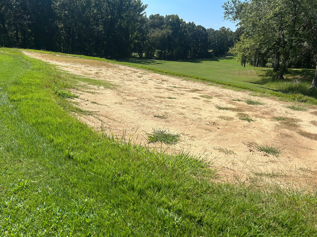 Paris Landing State Park Golf Course (TN Golf Trail)-Buchanan必去景点