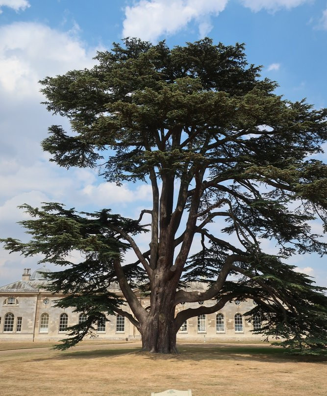 Woburn Abbey and Gardens-Woburn必去景点