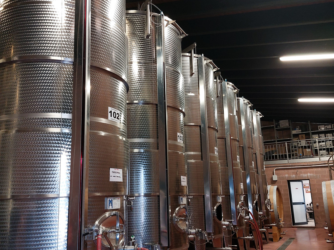 Cantina Nardi Clemente E Figli