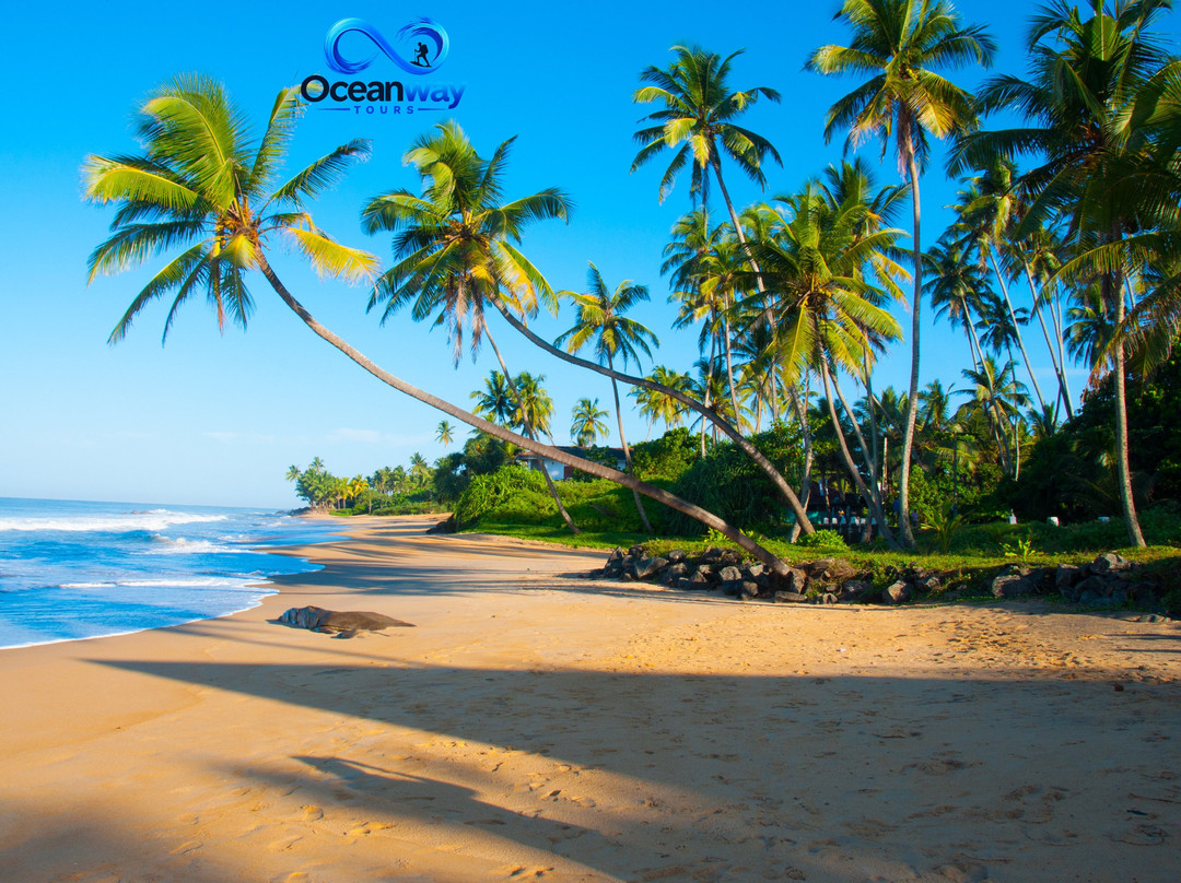 Oceanway Tours Pvt Ltd-Katana必去景点