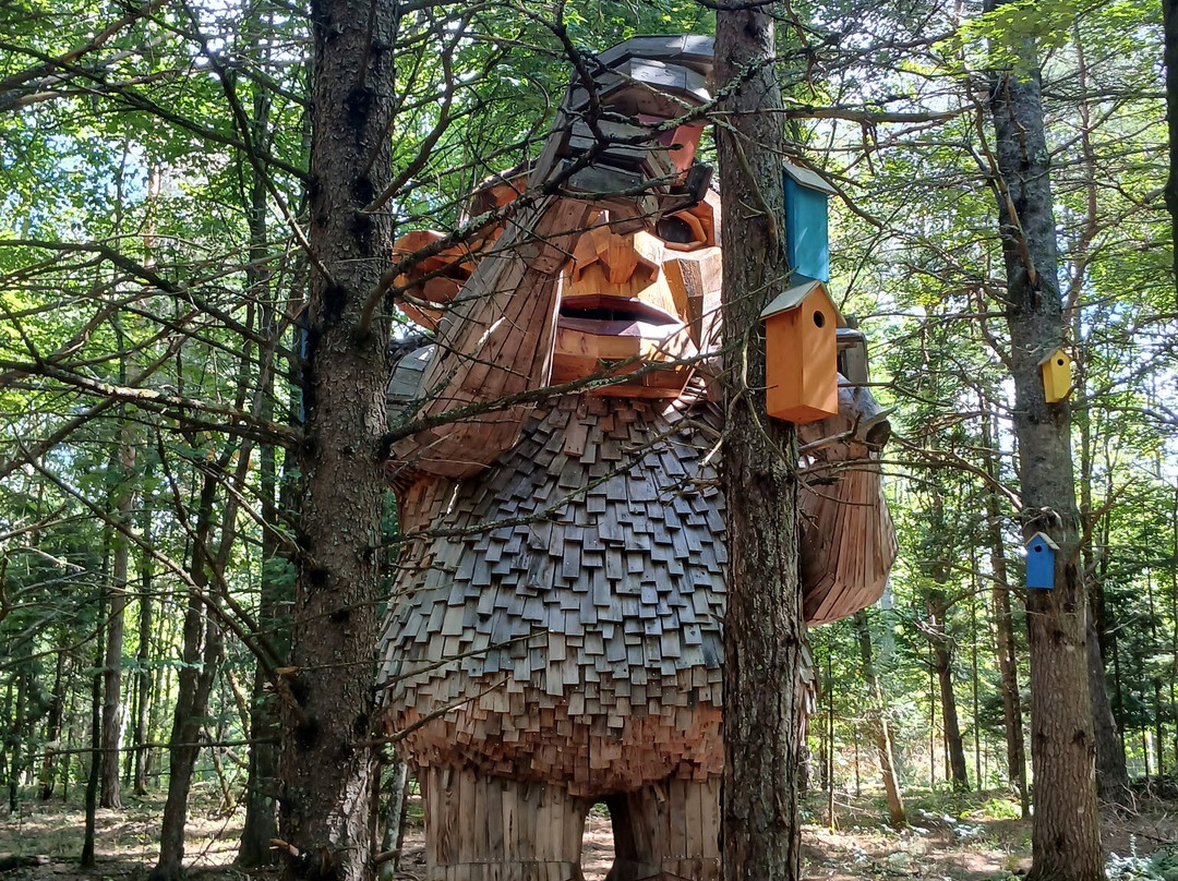 The Wild Center-Tupper Lake必去景点