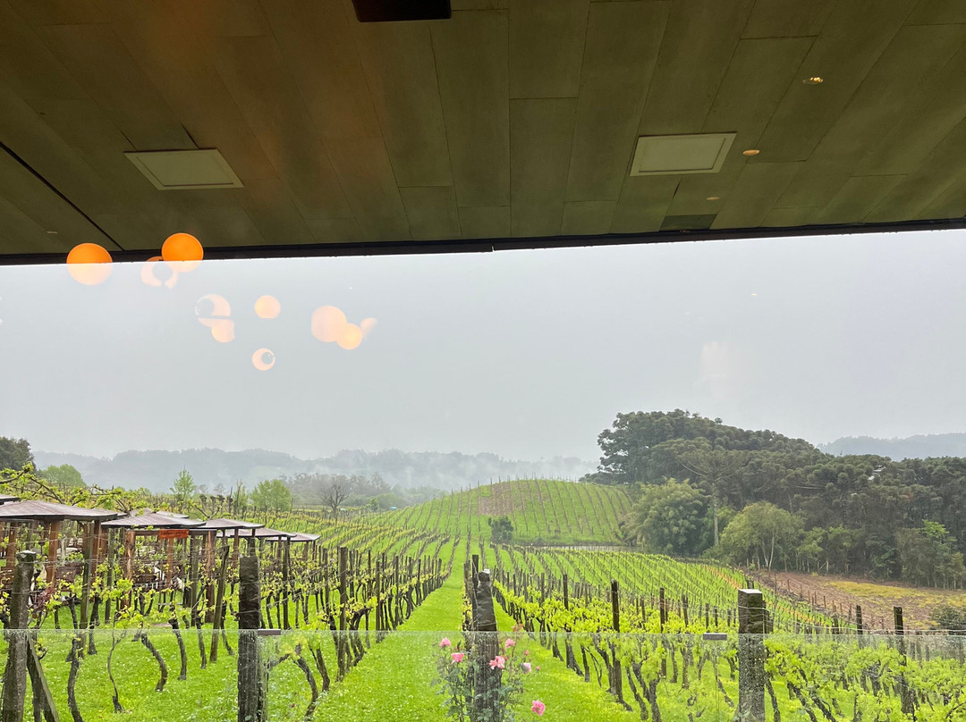 Vinhos Larentis-本图贡萨尔维斯必去景点