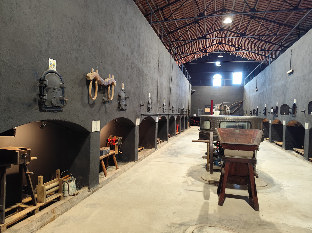 Bodegues Besalduch Valls & Bellmunt-Sant Mateu必去景点