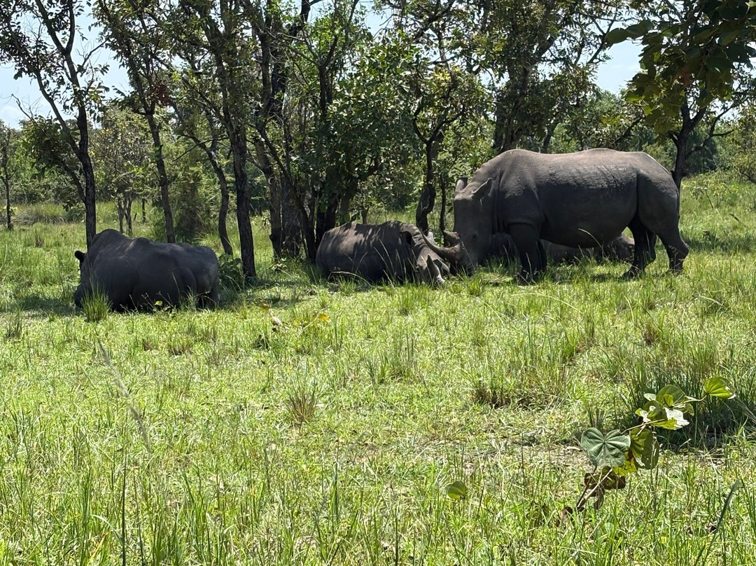 Devine African Safaris-吉佳利必去景点