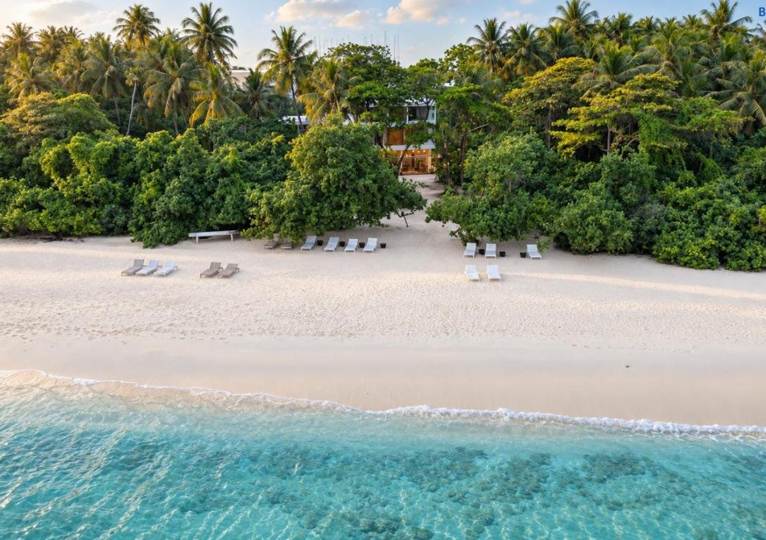 ODI Beachfront
