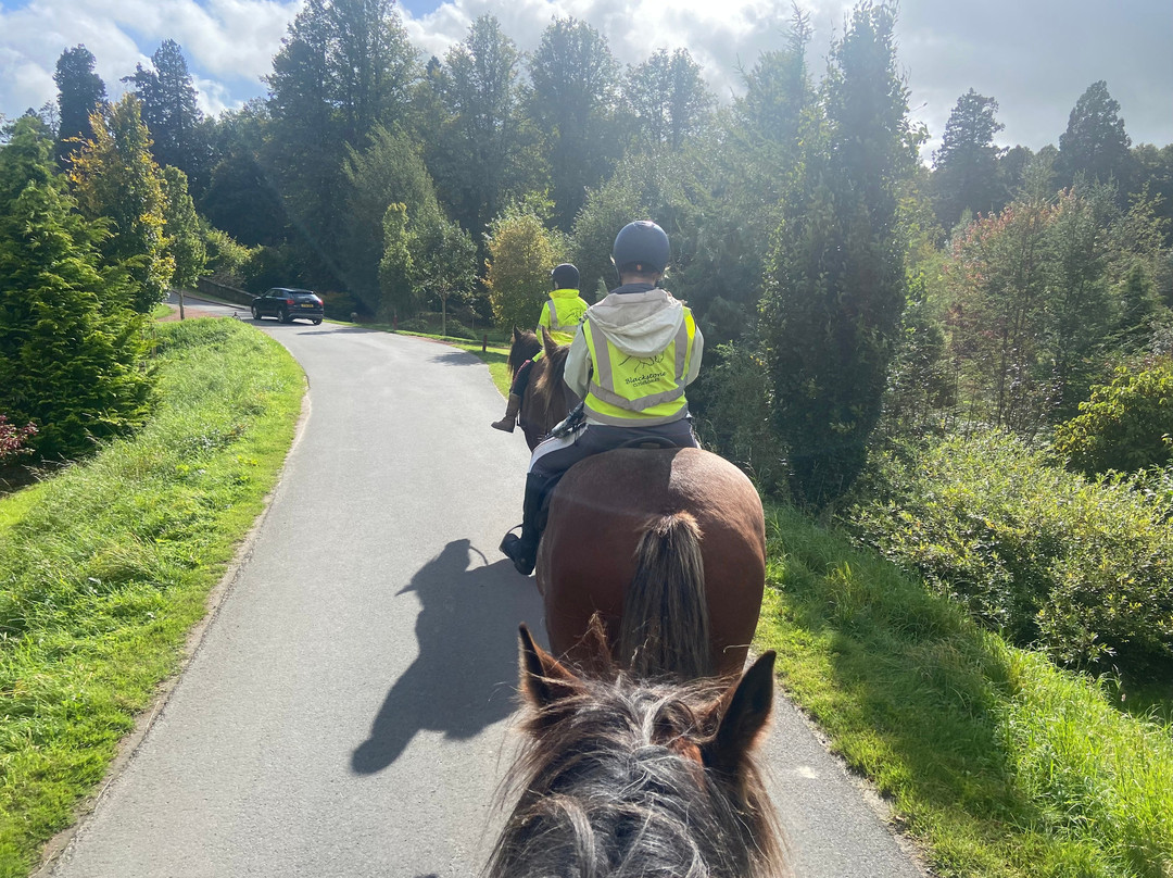 Blackstone Clydesdales Experience-Cumnock必去景点