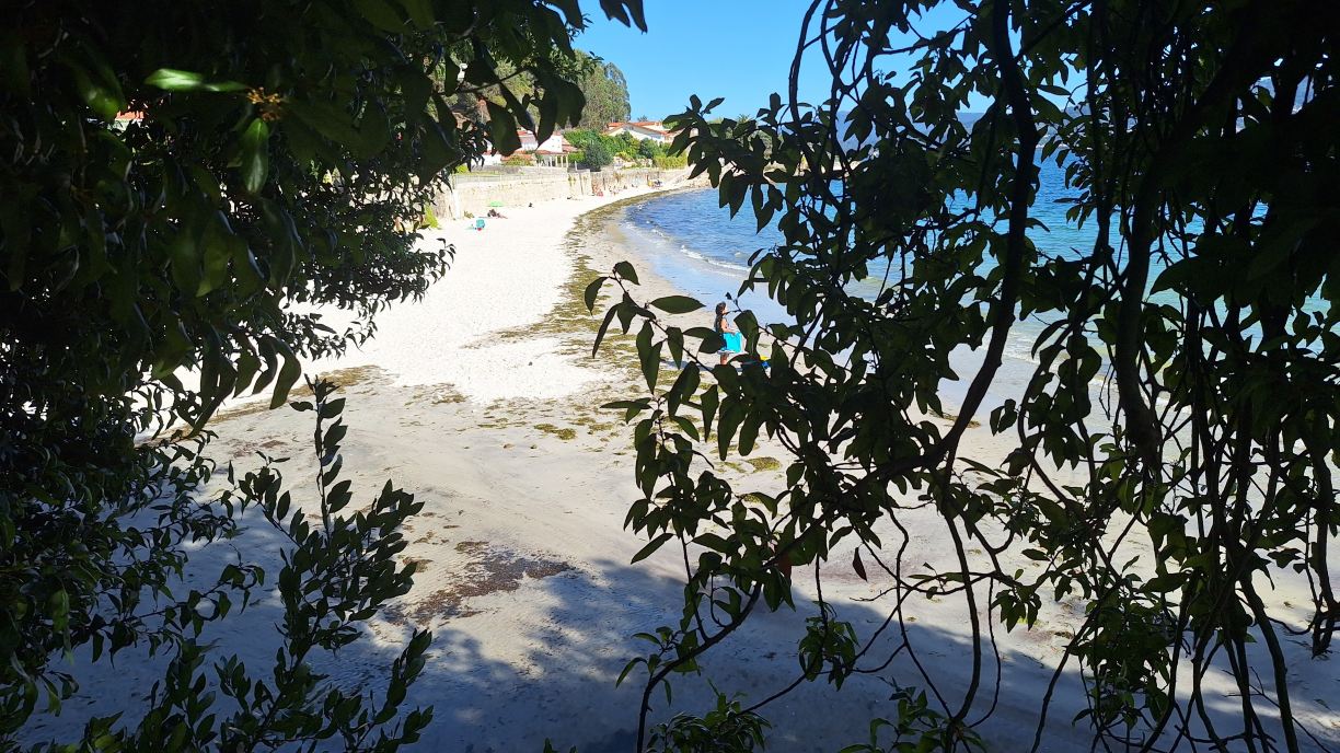 Chancelas Beach Apartment-旅行者