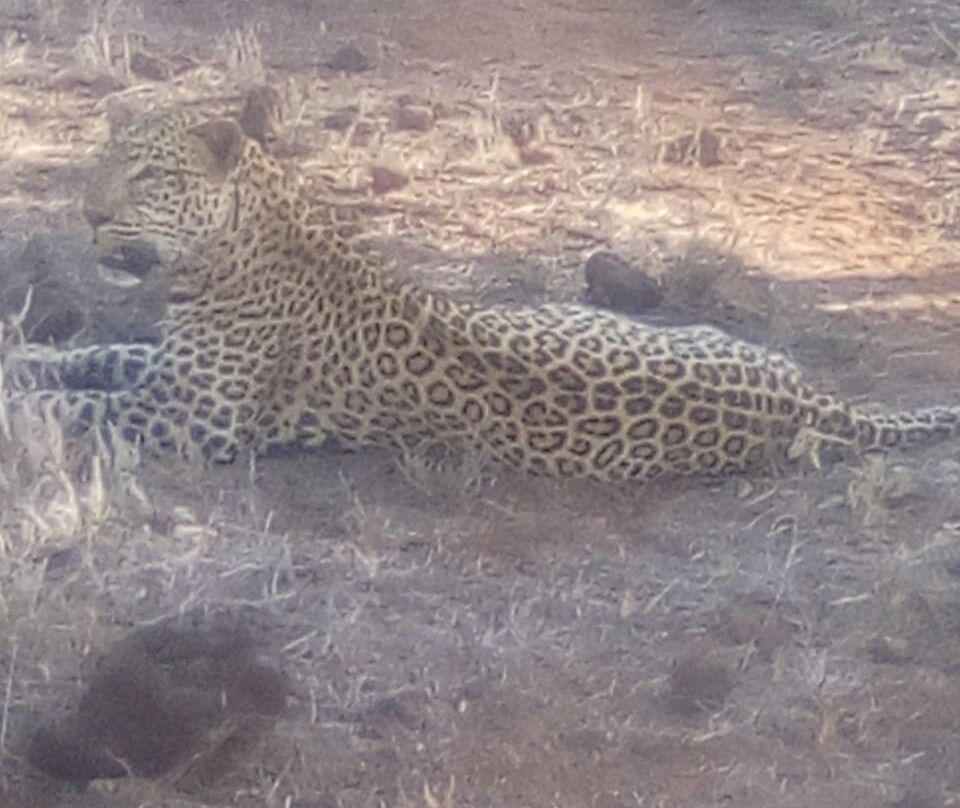 Top Africa Safaris-迪亚尼必去景点