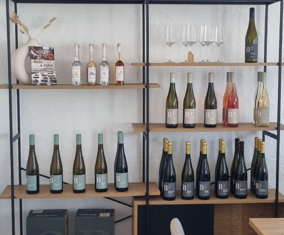 Weingut Bollig²-Trittenheim必去景点