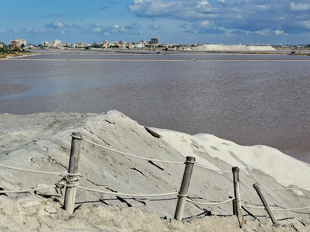 Riserva Naturale di Stato Saline di Margherita di Savoia-Margherita di Savoia必去景点