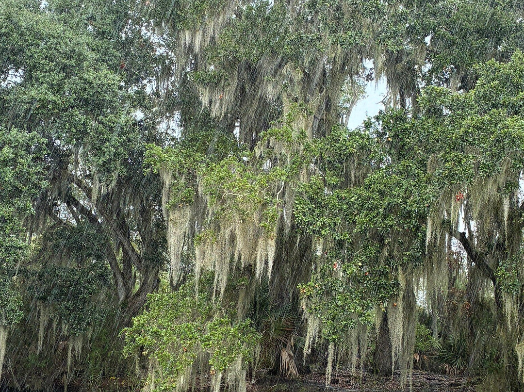 Airboat Adventures-Lafitte必去景点