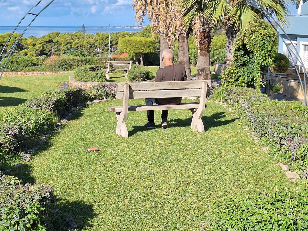 San Lorenzo Village主图