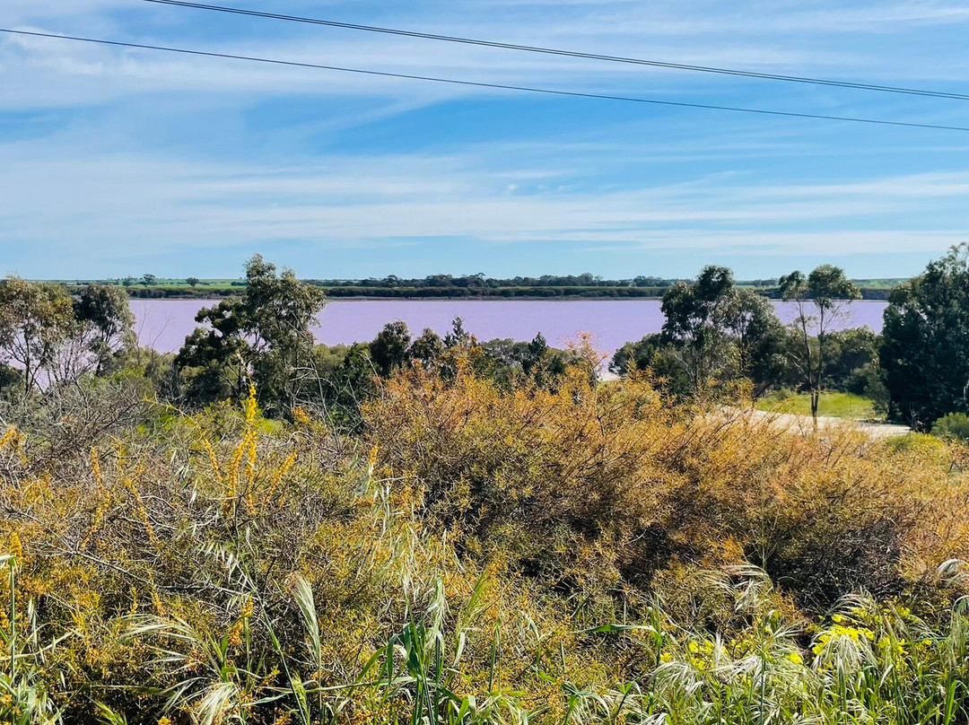 Pink Lake-Dimboola必去景点