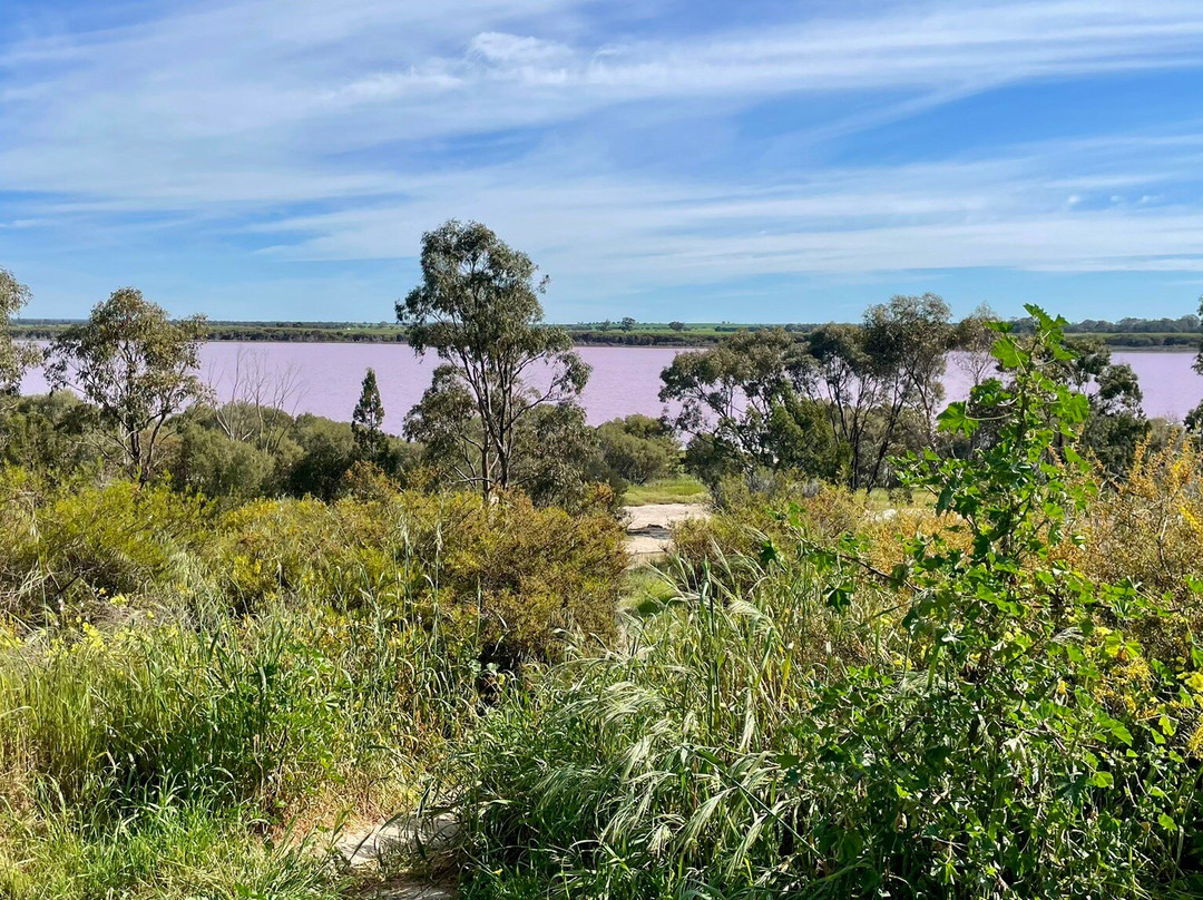 Pink Lake-Dimboola必去景点