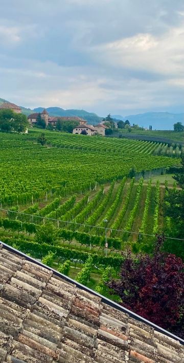 Hotel Weingut Stroblhof-旅行者