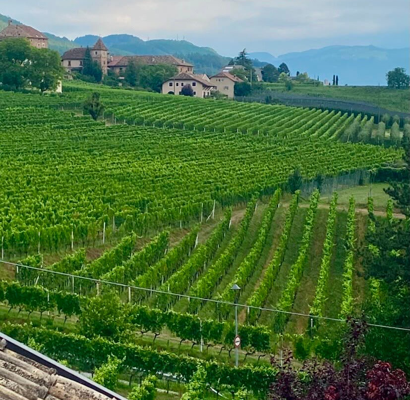 Hotel Weingut Stroblhof主图