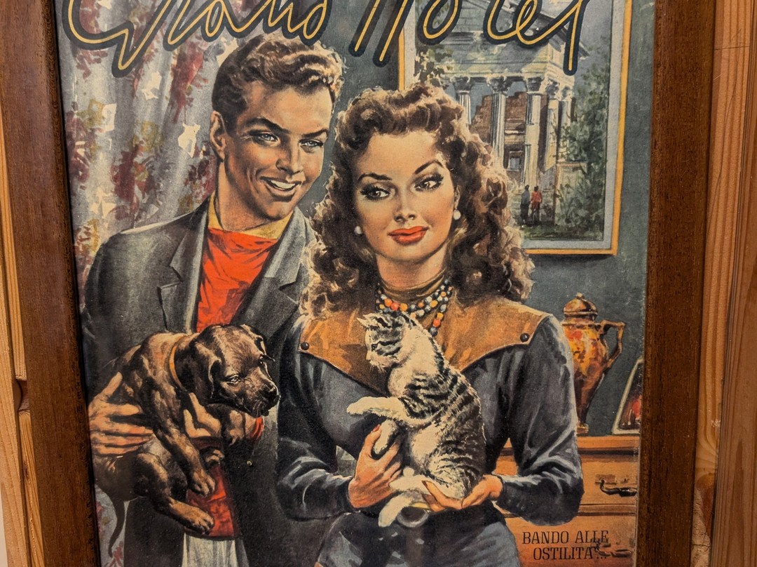 Cats Museum-科托尔必去景点