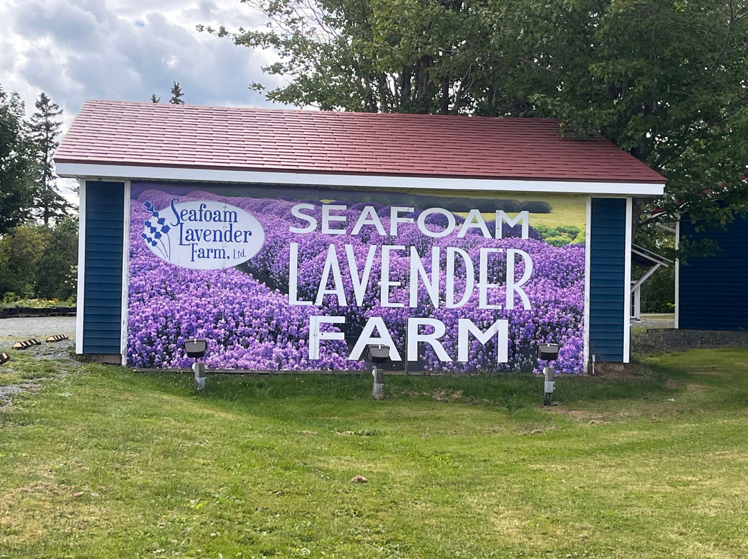 Seafoam Lavender Company and Gardens-Seafoam必去景点