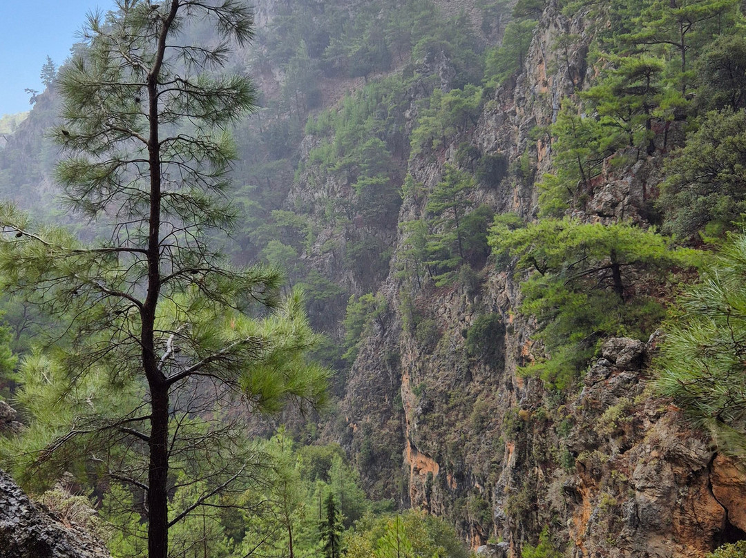 Agia Irini Gorge-Sougia必去景点