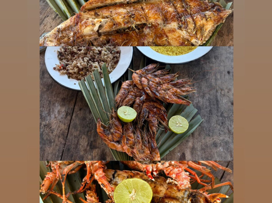 Guará Transfer & Tourism - Barra Grande-Barra Grande必去景点