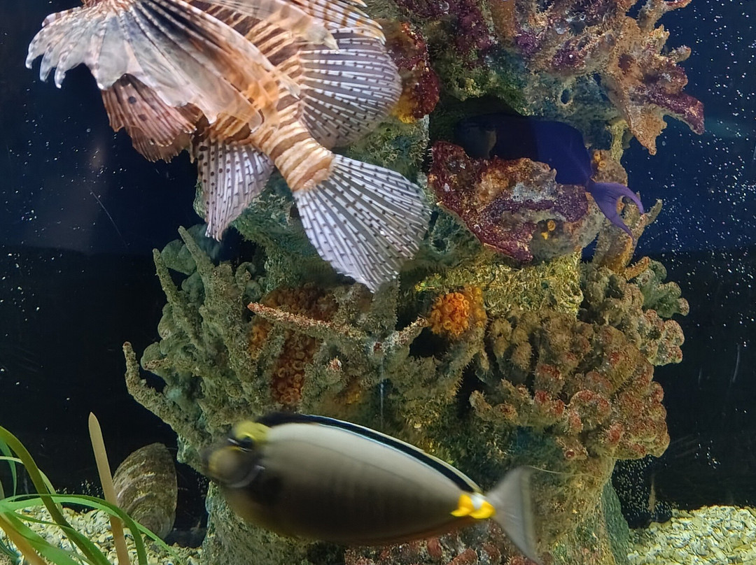 Aquarium du Québec-魁北克市必去景点