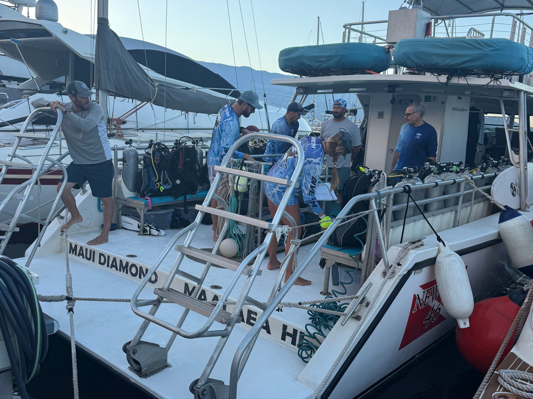 Maui Diamond Sea Sports-玛阿拉也亚必去景点