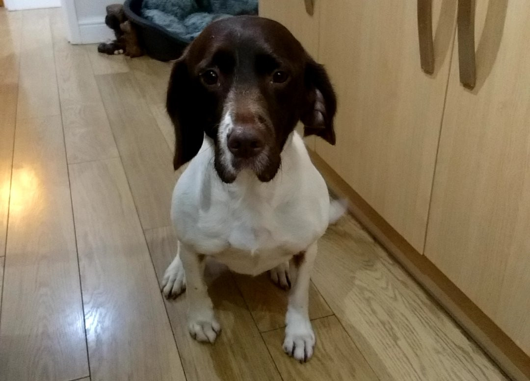 Llanon旅游攻略图片