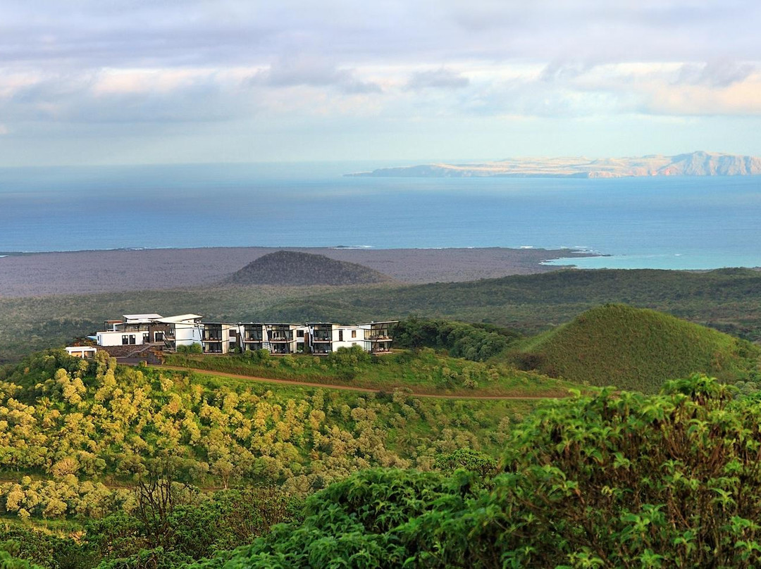 Seymour Island旅游攻略图片