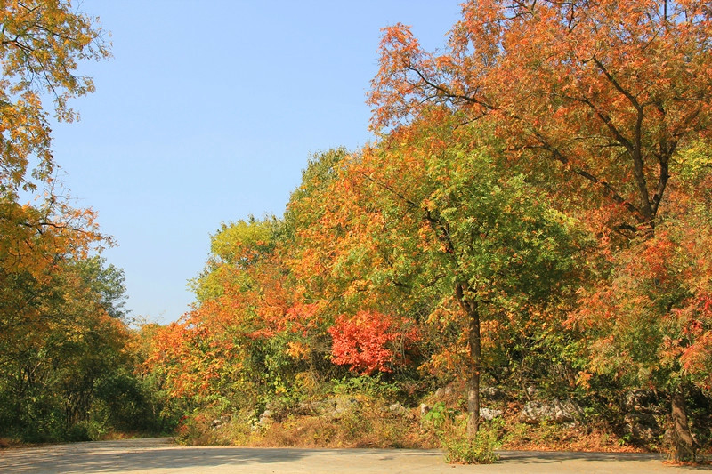 神山森林公园-全椒县必去景点