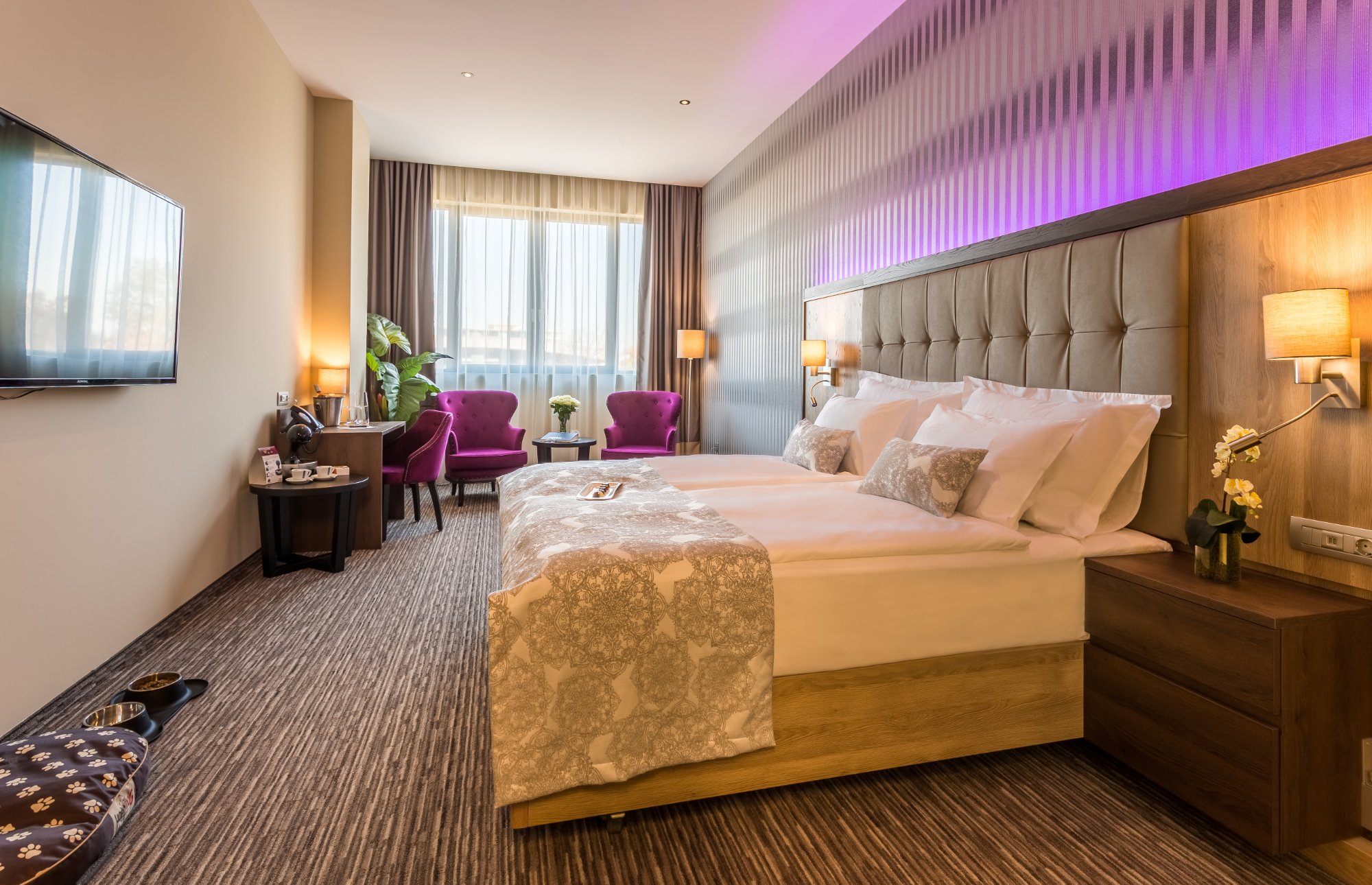 Admiral Hotel-官方