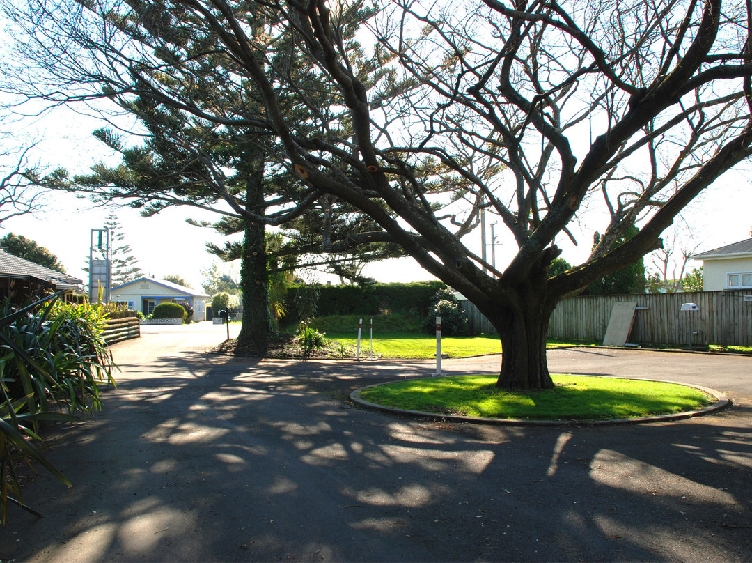 Otaki Beach旅游攻略图片