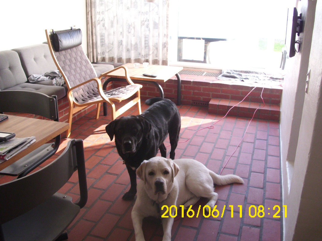 Feriecenter Tranum Klit