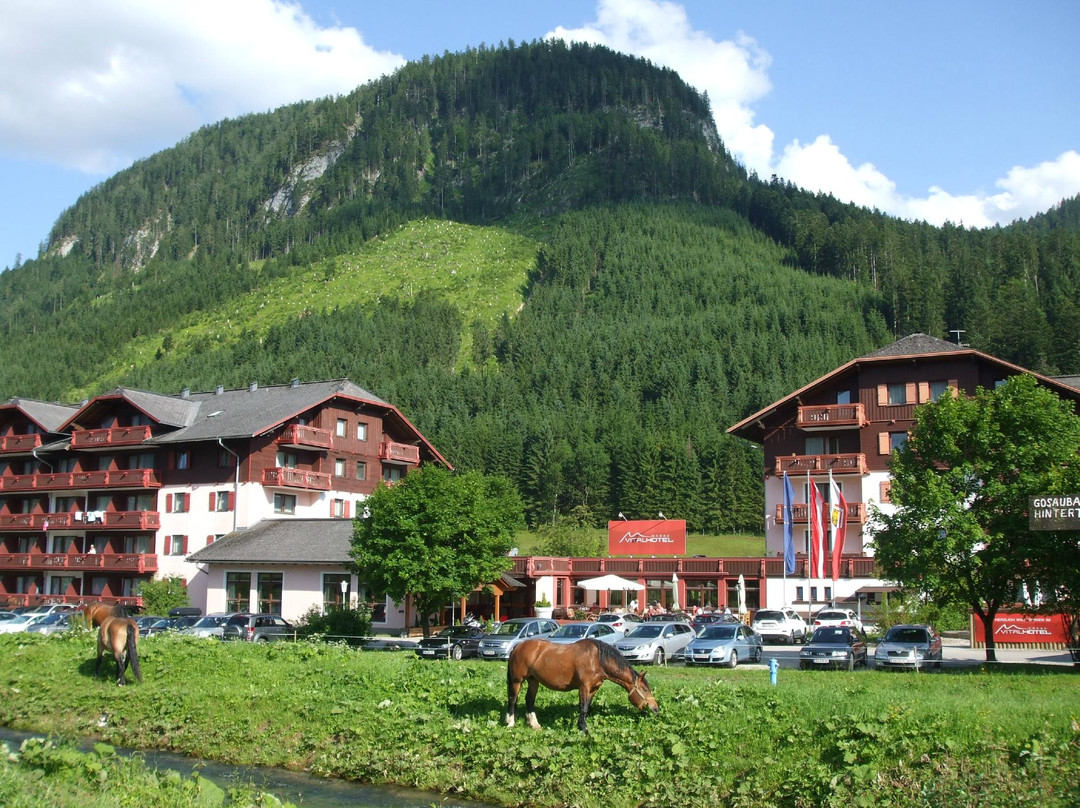 戈绍酒店住宿-Vitalhotel Gosau
