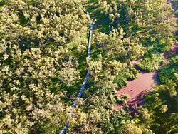 'Burrima' Boardwalk-Warren必去景点