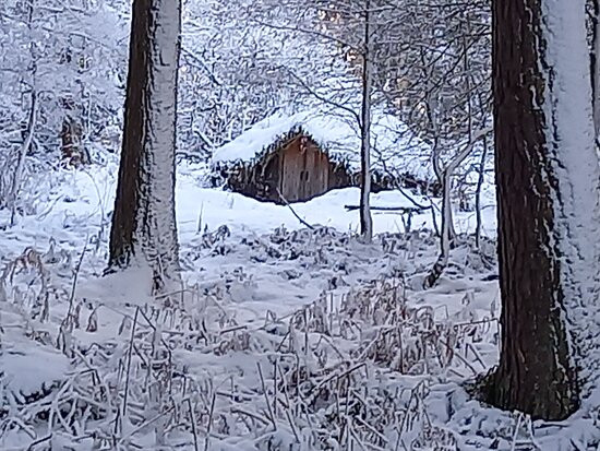 Blinkbonny Wood-Gifford必去景点