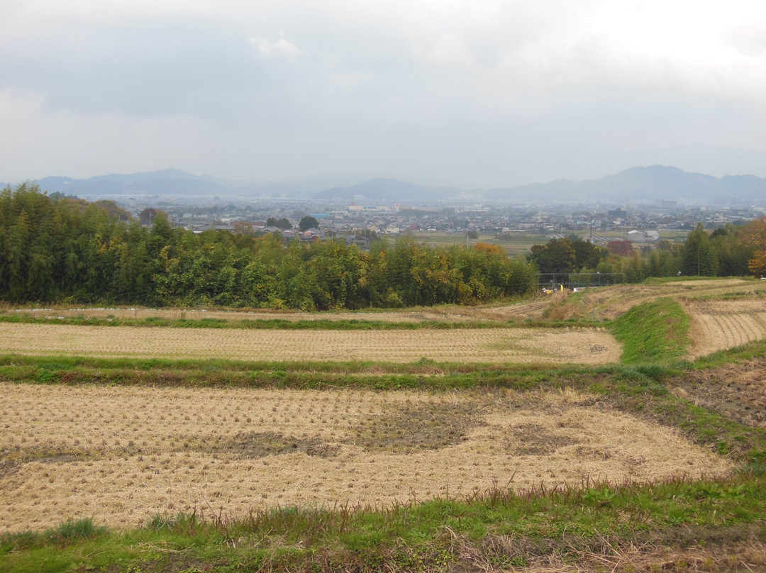 Katsuragi Road景点图片