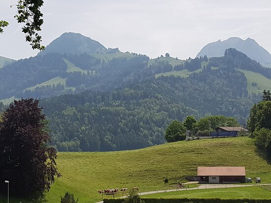 Cité Médiévale de Gruyères景点图片