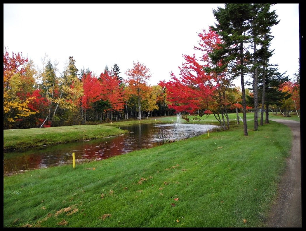 Lakeside Golf and Country Club景点图片