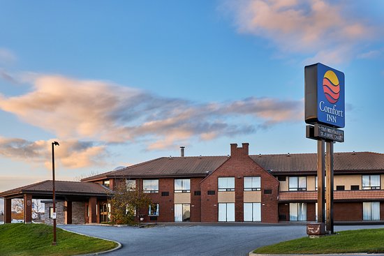Comfort Inn-官方